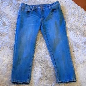 Chip & Pepper SYD Capri stretch denim blue jeans 5 pocket style size 29 EUC…